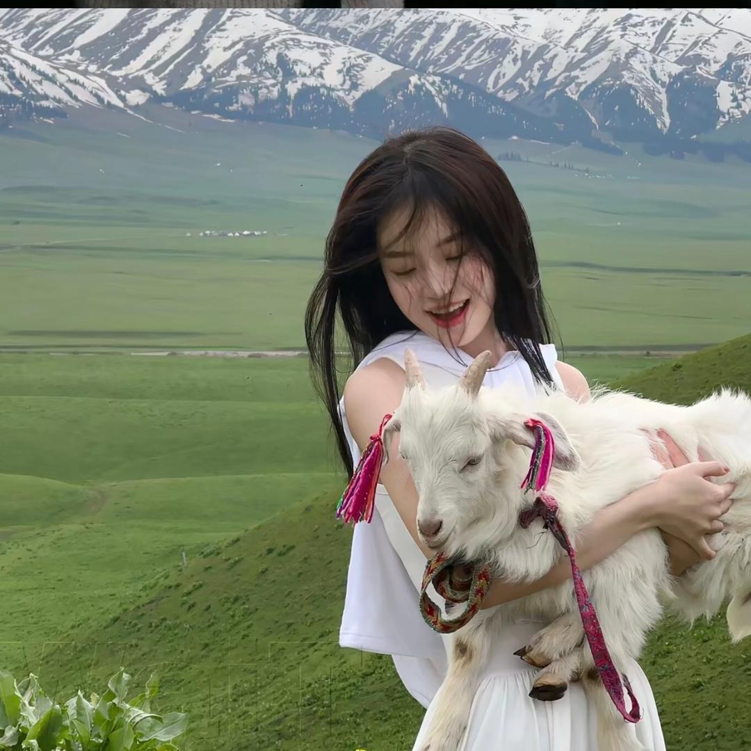 小佳.🐏