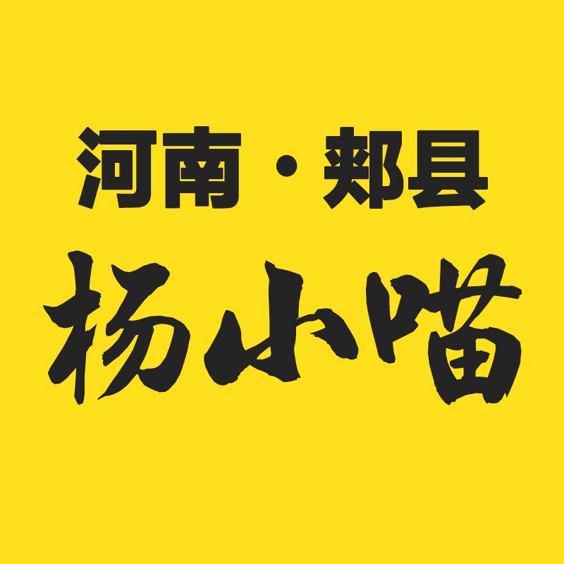 河南郏县杨小喵