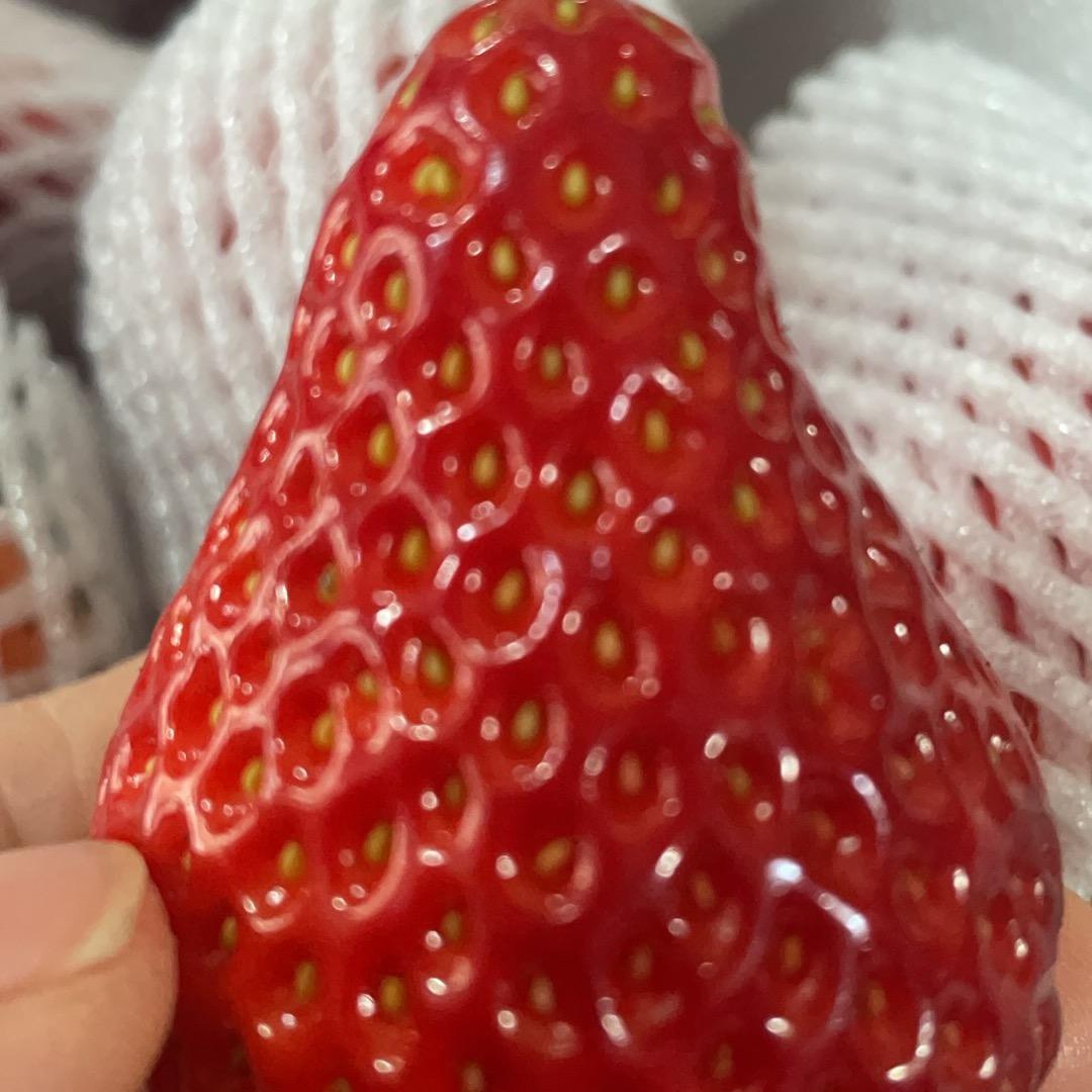 余生随心