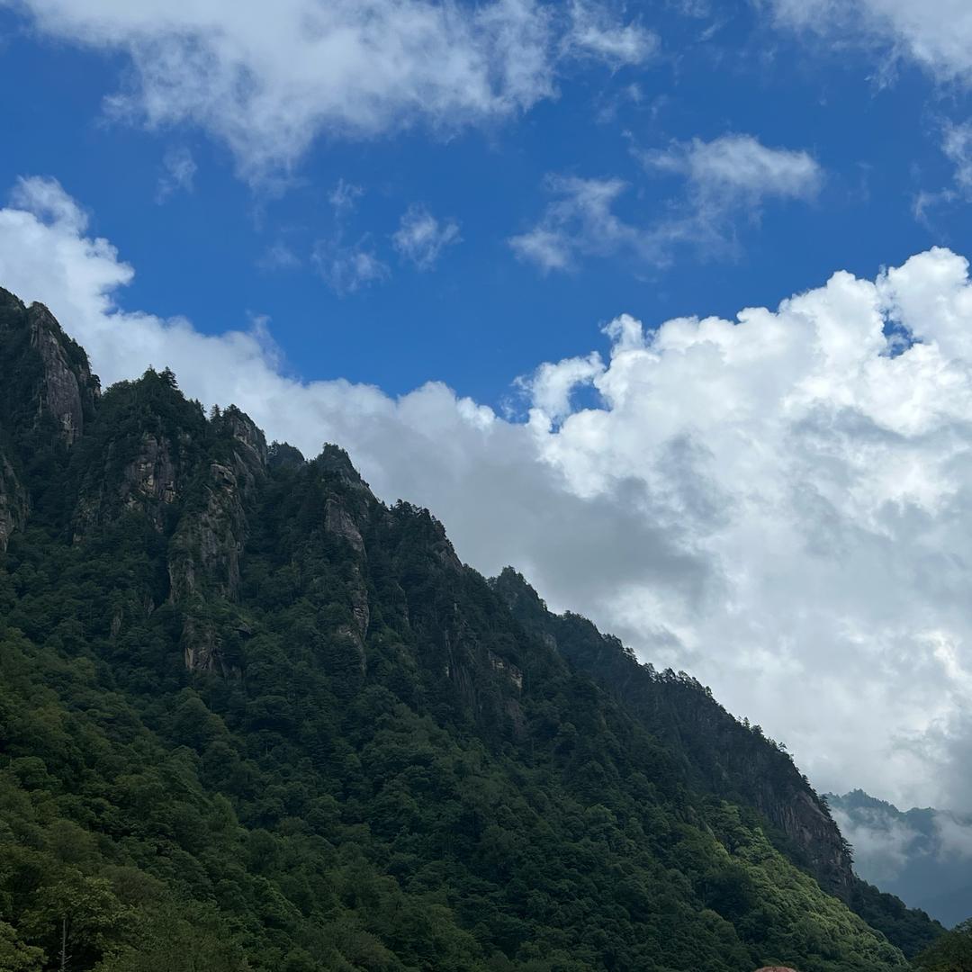 云淡风轻°