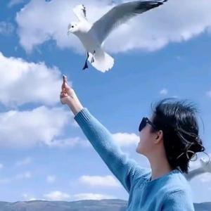 小小书包