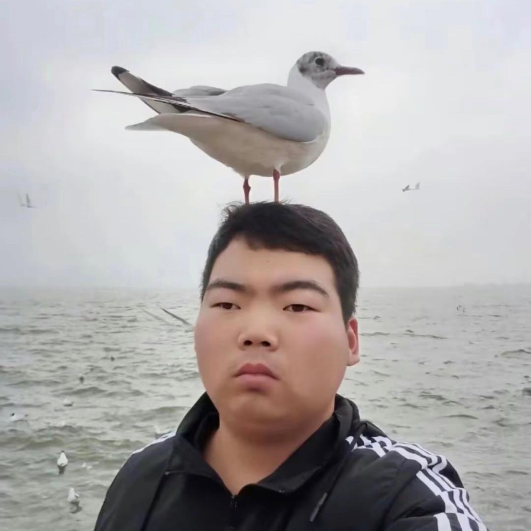 是个憨憨