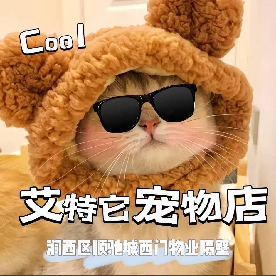 洛阳市涧西区艾特它宠物服务店（个体工商户）