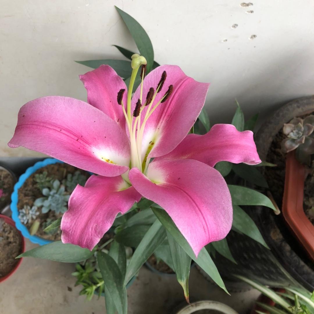 萍水相逢