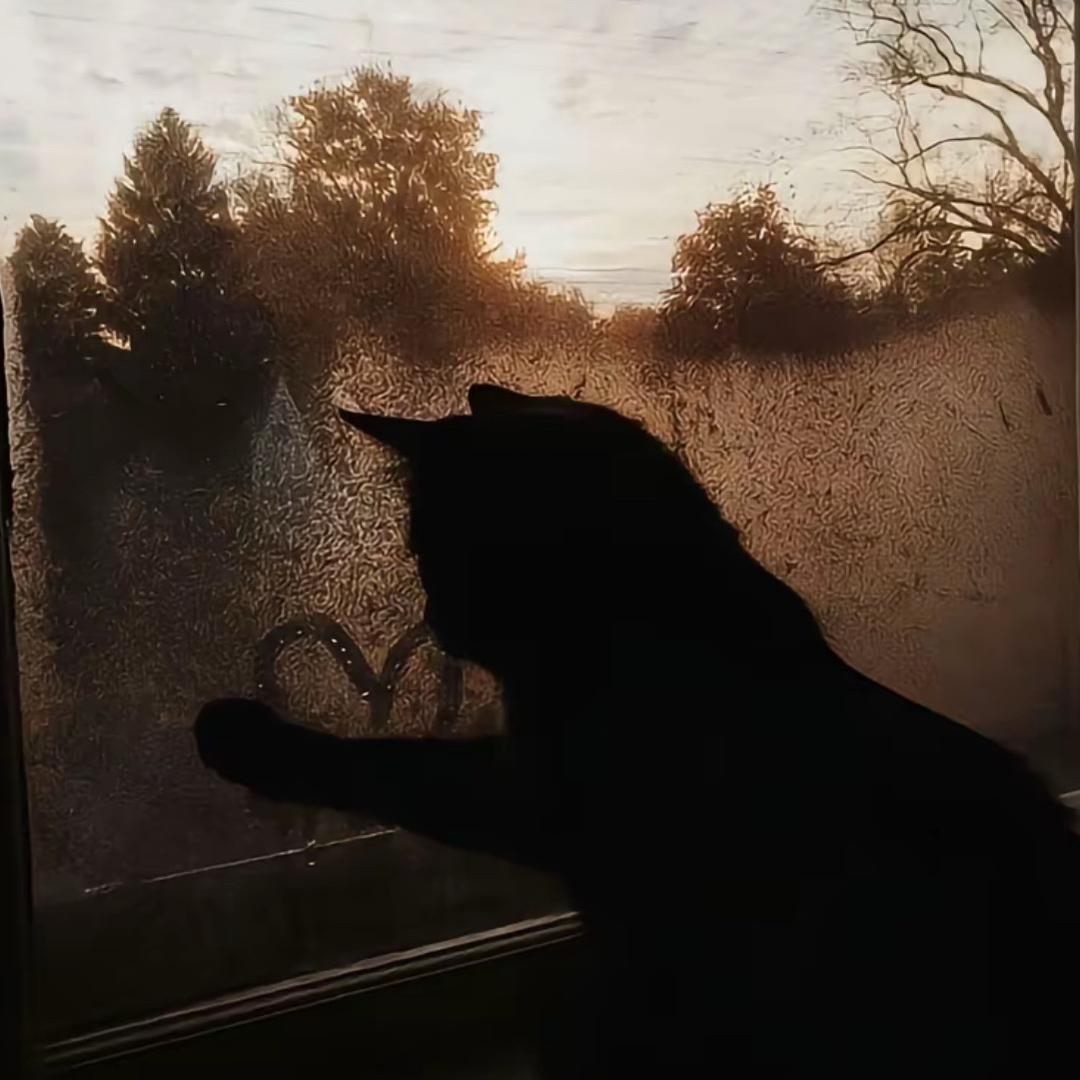 日落.🌾