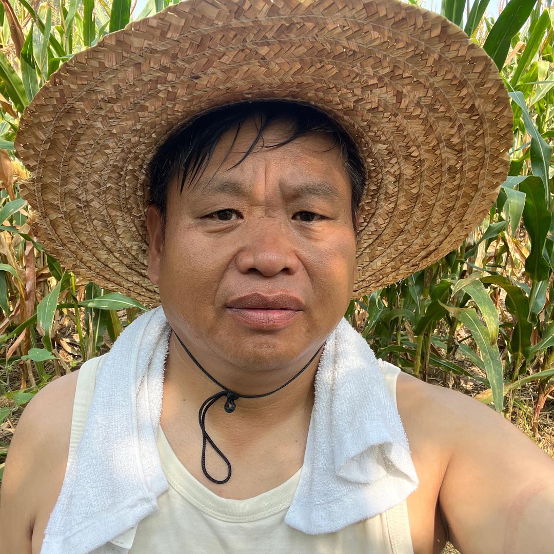 河南老郑叔