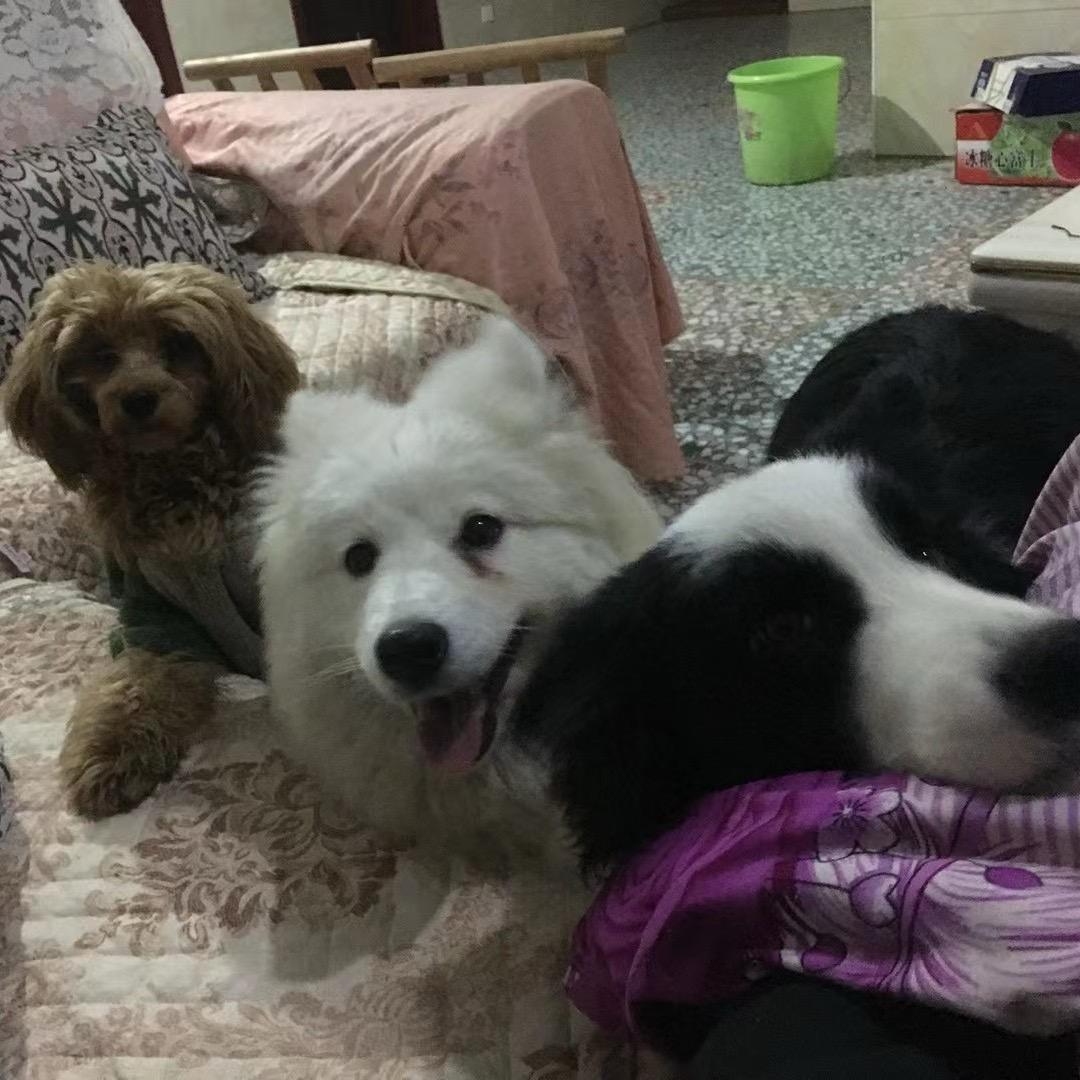 🌈沃特嗨碰特🌊