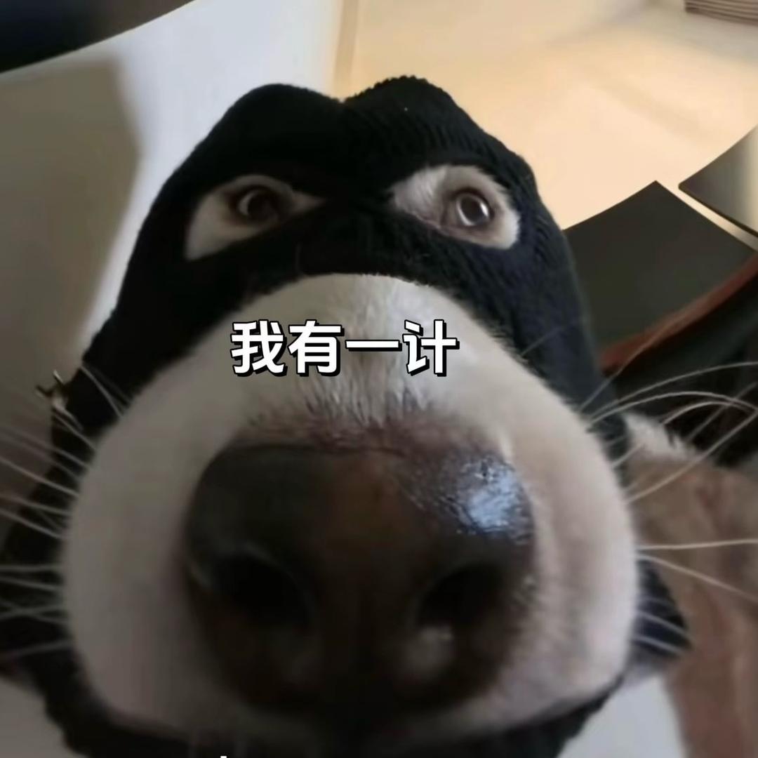 K k