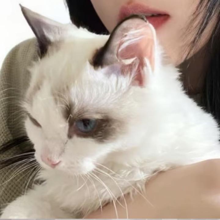 独白