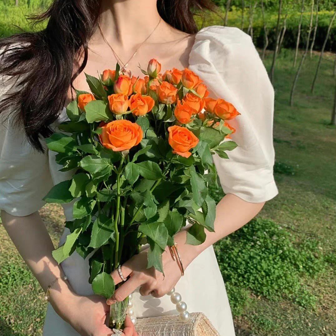 小燕子