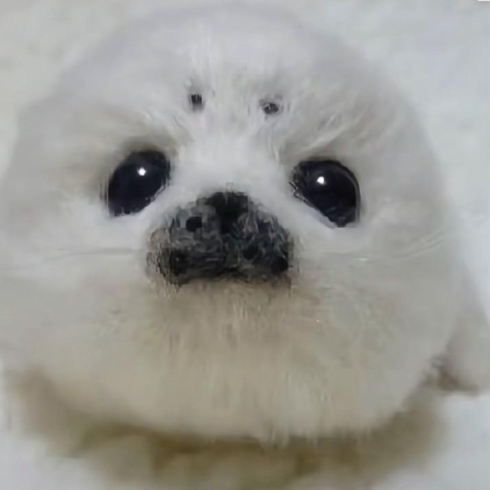 雪代巴