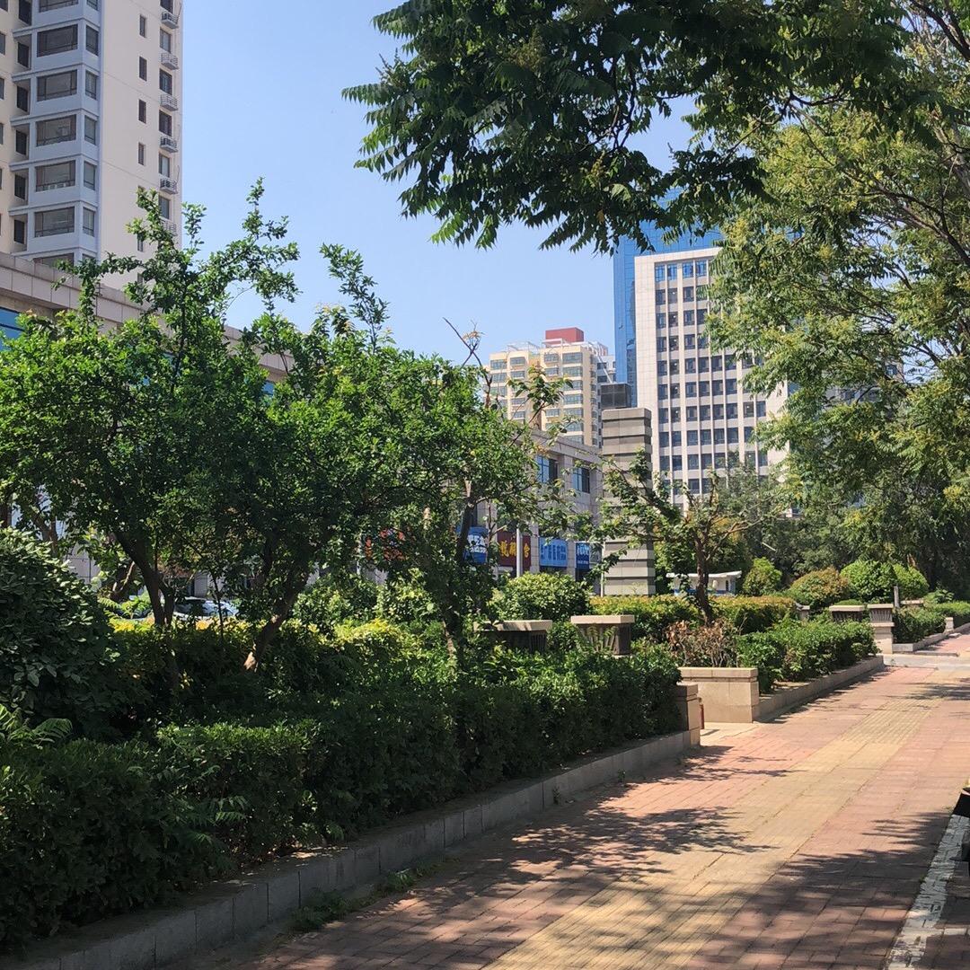 山东中草药种植