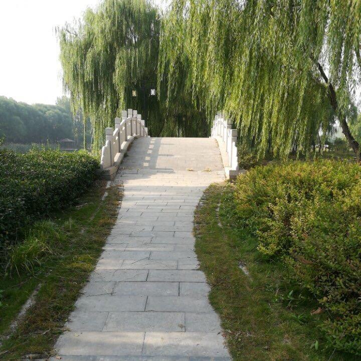 小崔