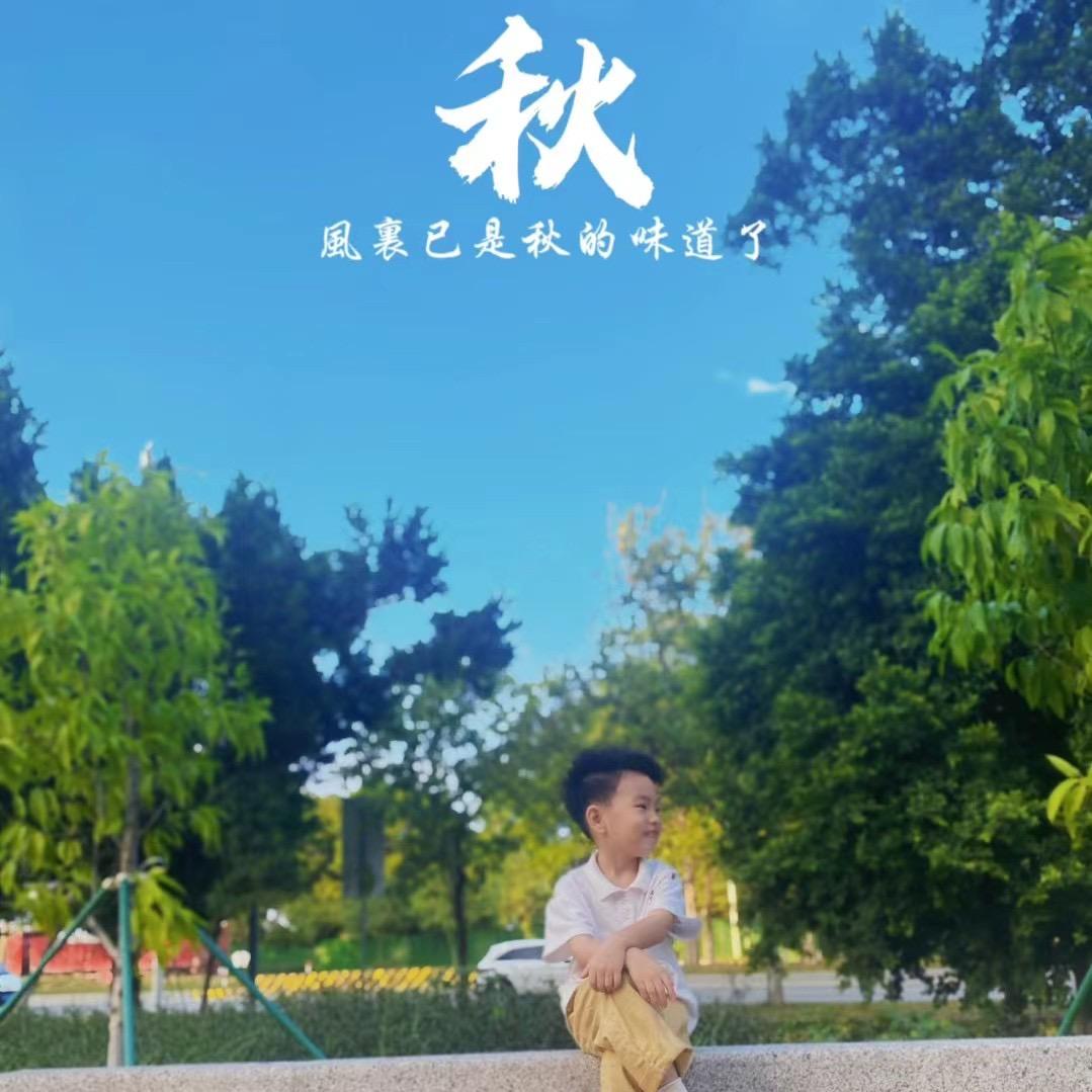 （金不换）