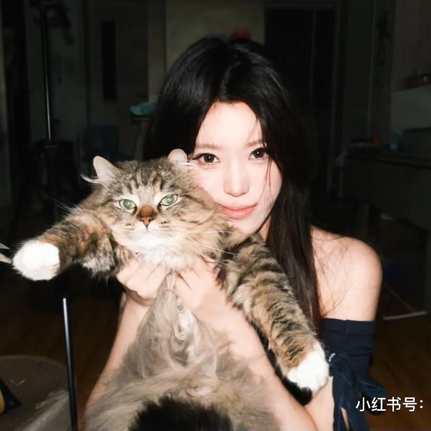 缘浅
