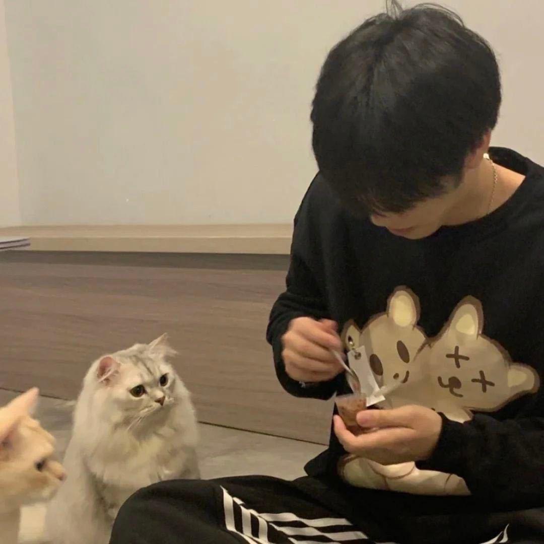 王者小鑫（2万分娜可露露）