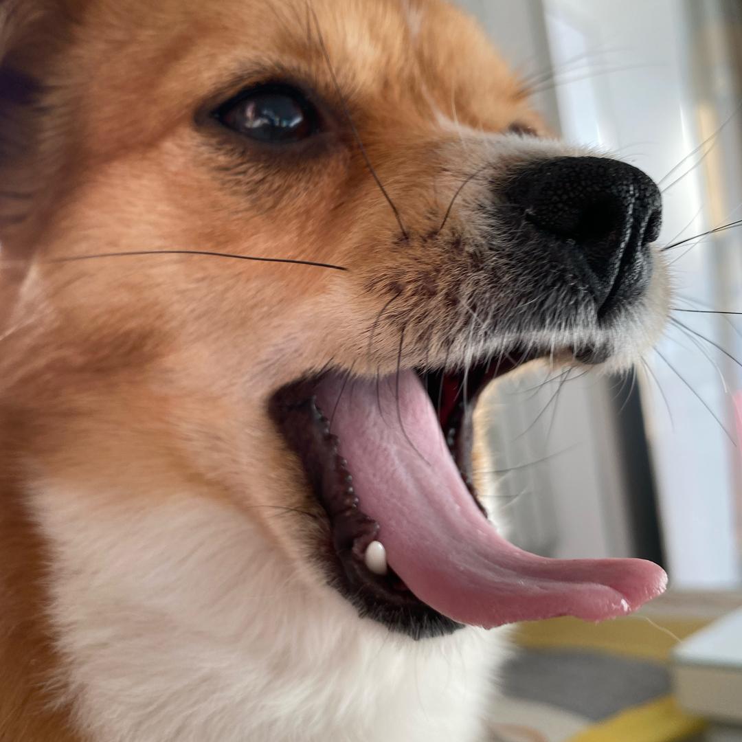 千斤