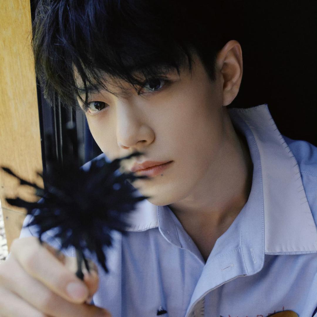 金鱼喜欢睡懒觉🐋💤