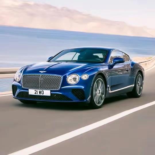 梦里南山脐橙采摘园