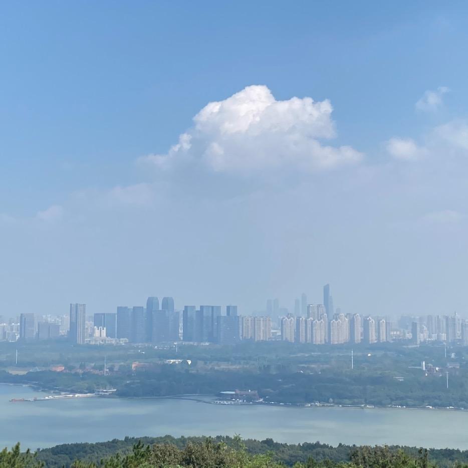吃素小脑斧