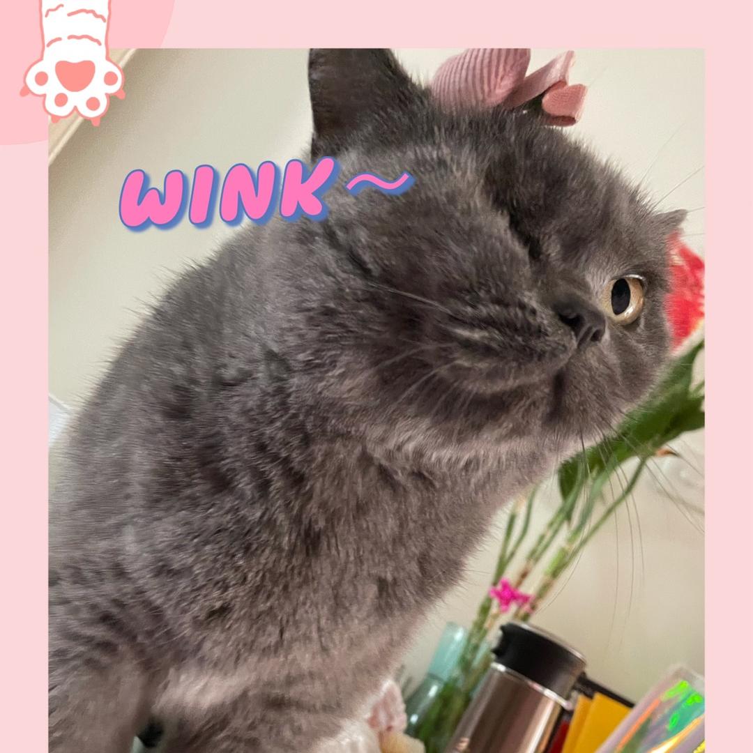 恩恩大宝藏🌈
