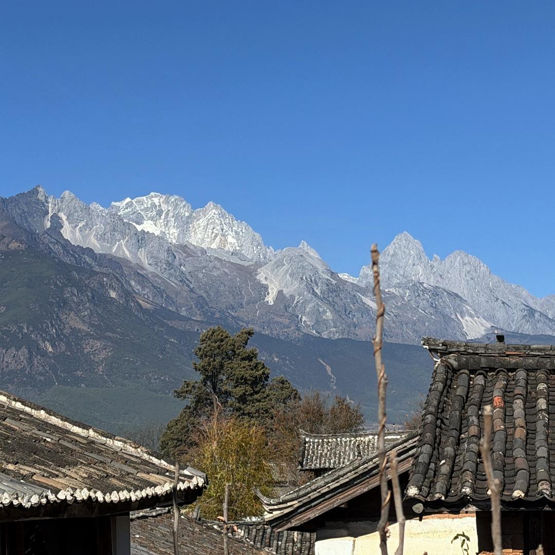 云仲鹿岩板一坨坨
