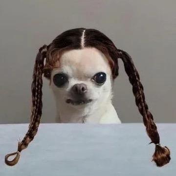 喝粥🫕