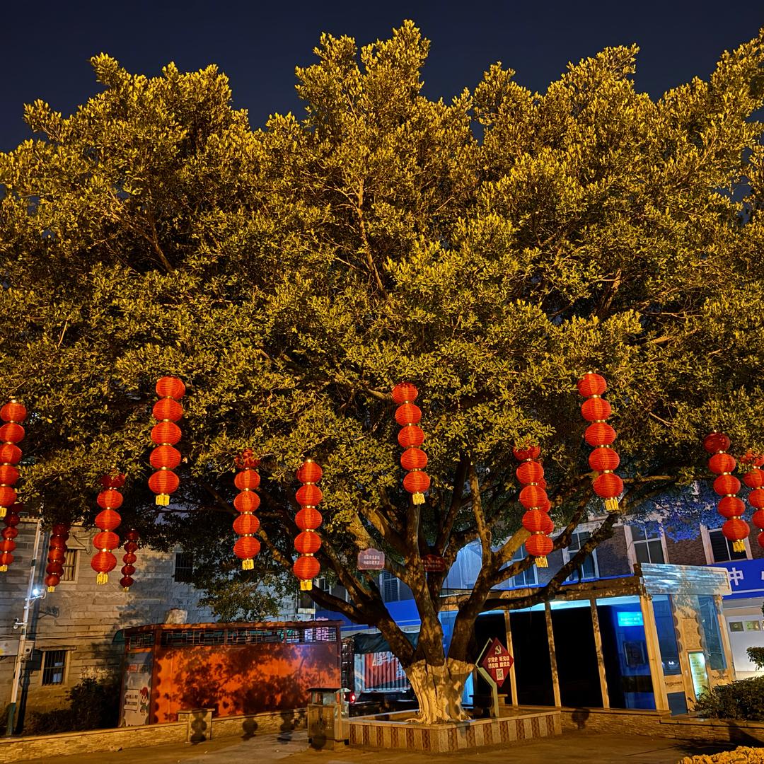 ヾ寒风＿凛凛ོ