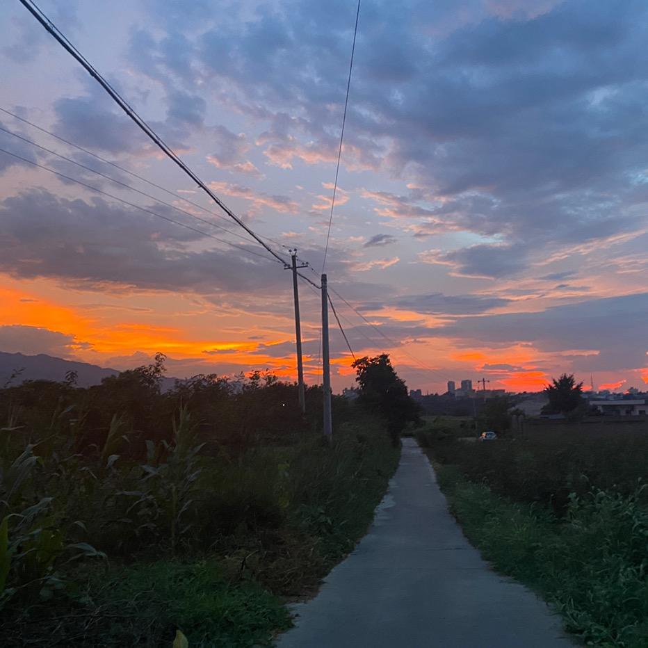 旅途中的花生