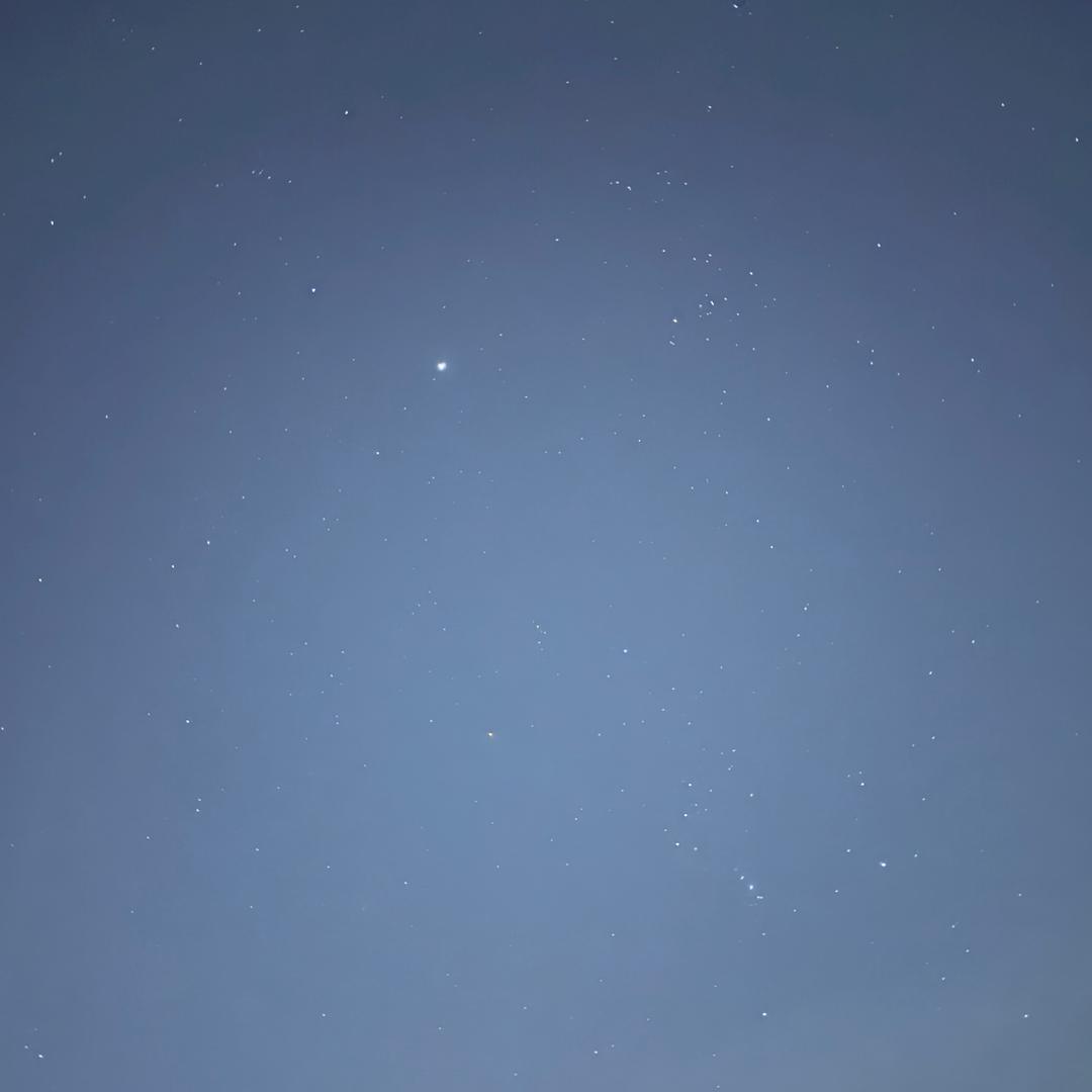 机器人会梦到电子羊吗