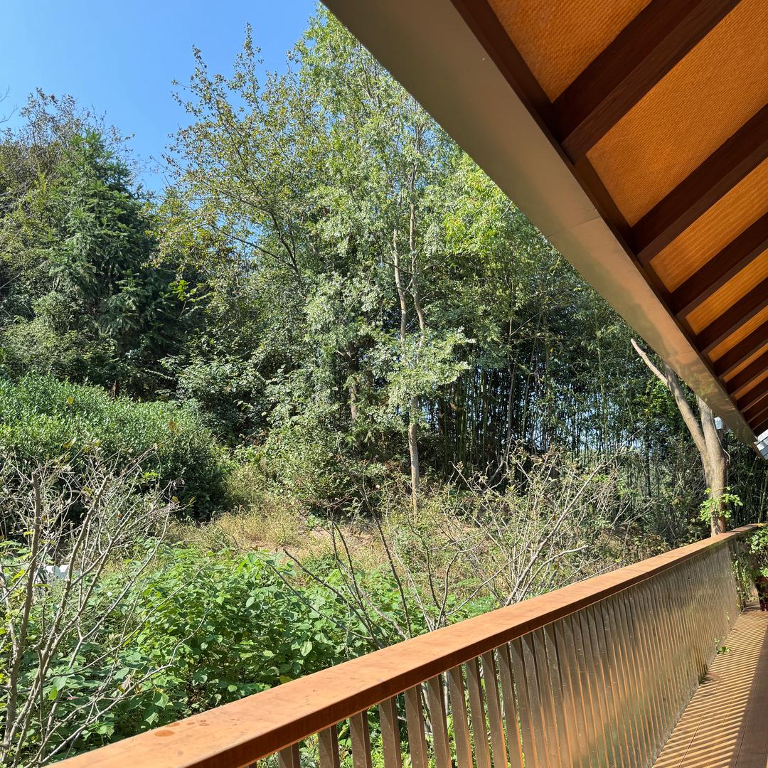 轻舟已过万重山