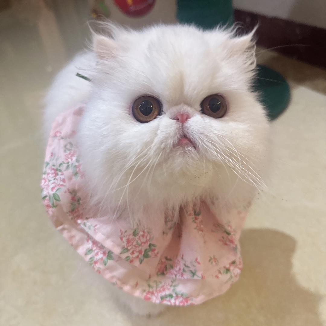 妮妮小盆友