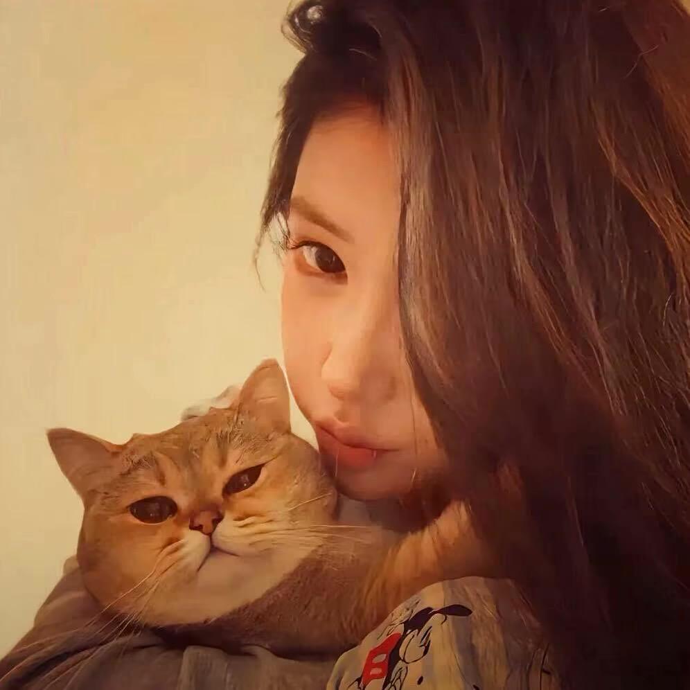 蛋挞终结者、🥧