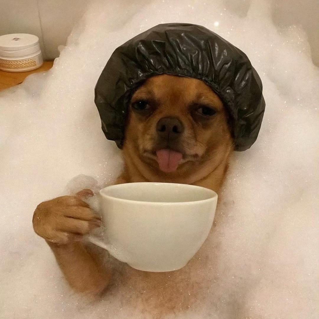 爷傲 奈我何？！