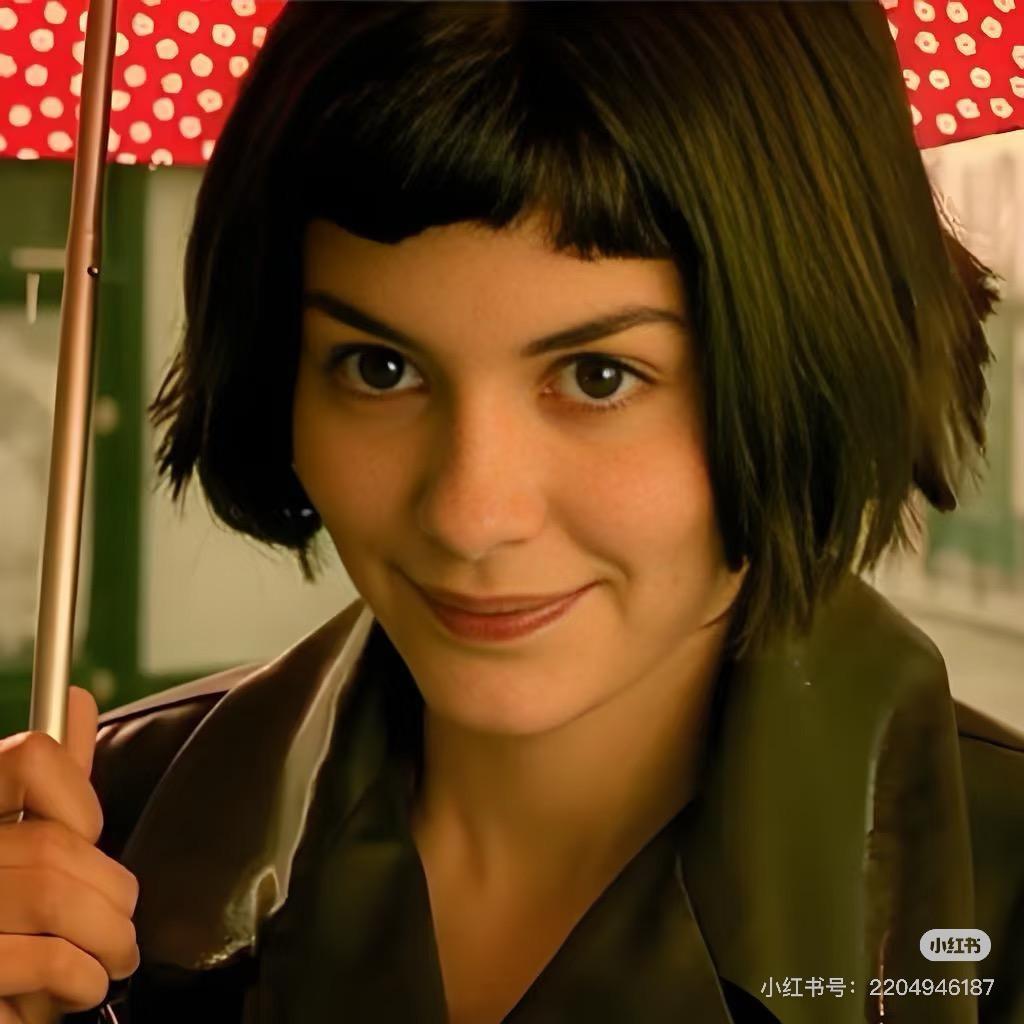 📷卷毛（可约拍）