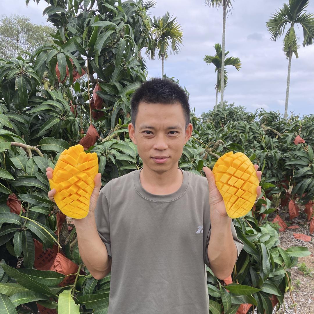 富齐百汇