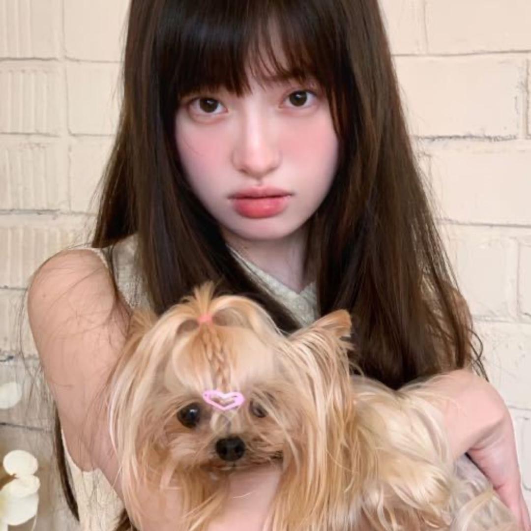 饼干家约克夏🏡