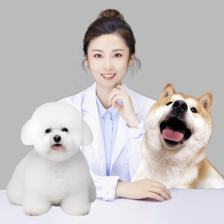 大力dog和高翠兰（饲养问题私信）