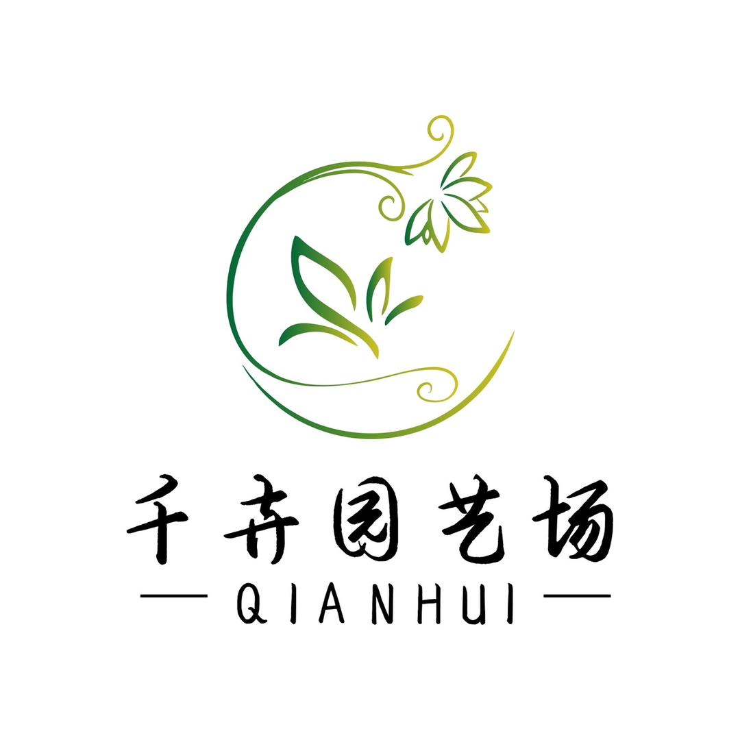 千浔绿植汇