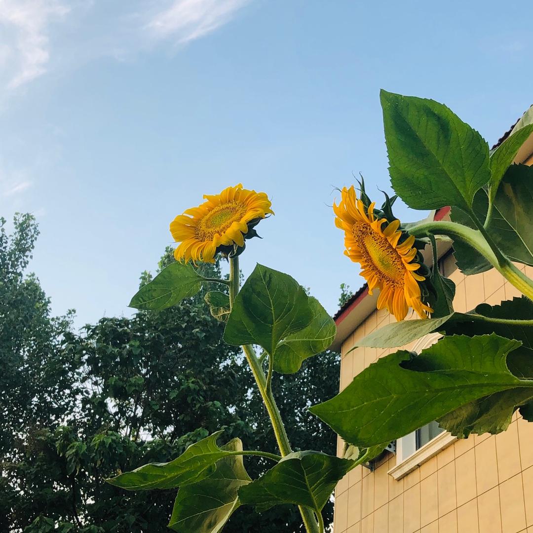 👩‍👦‍👦宸宥麻麻哦