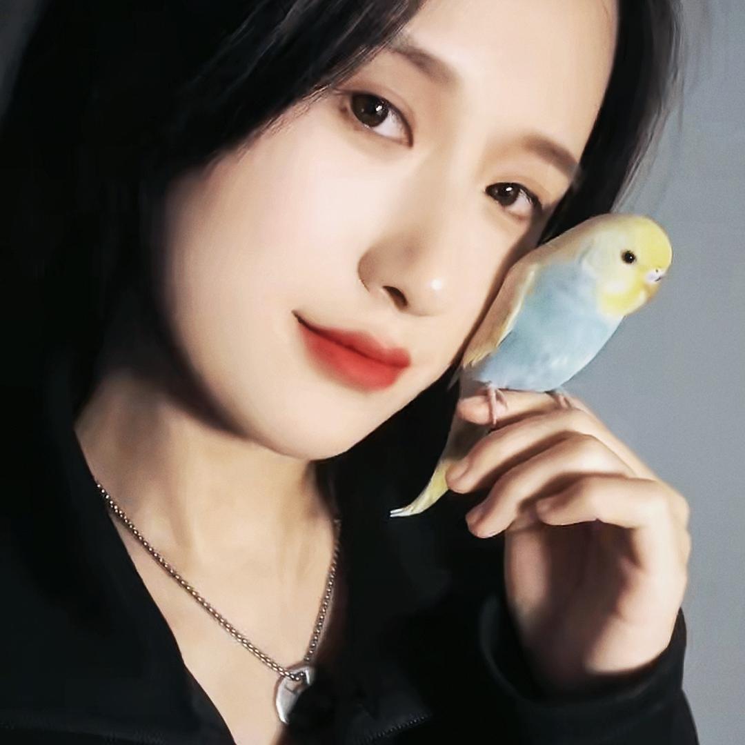养鹦鹉的建国🦜