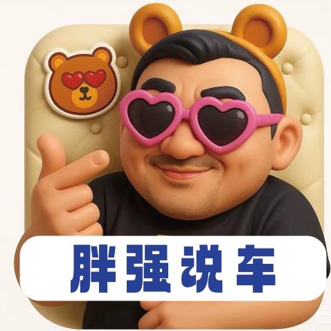 胖强说车🚘