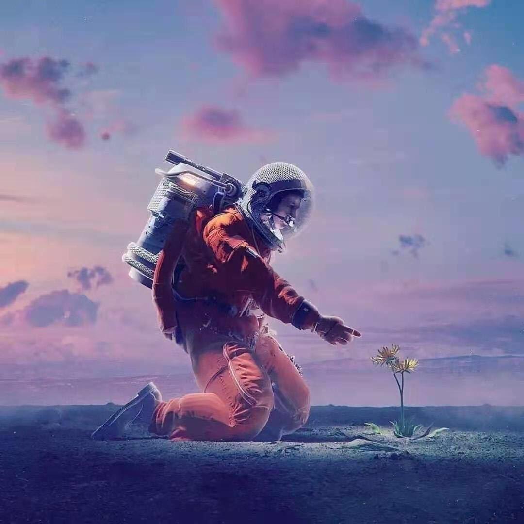 宠男珠宝