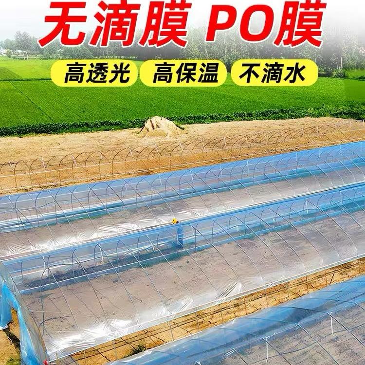 优斯贝大棚膜厂家