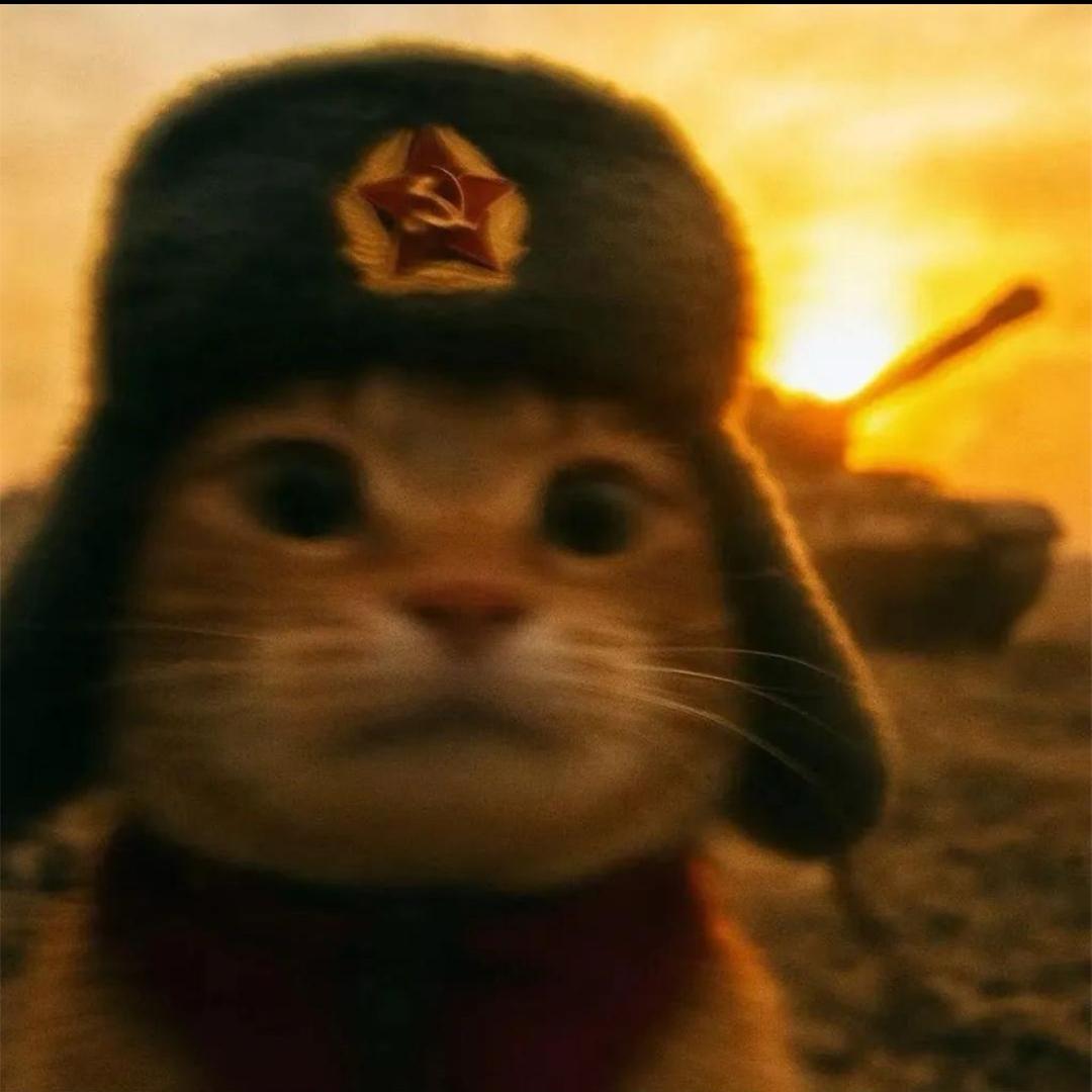 Uu