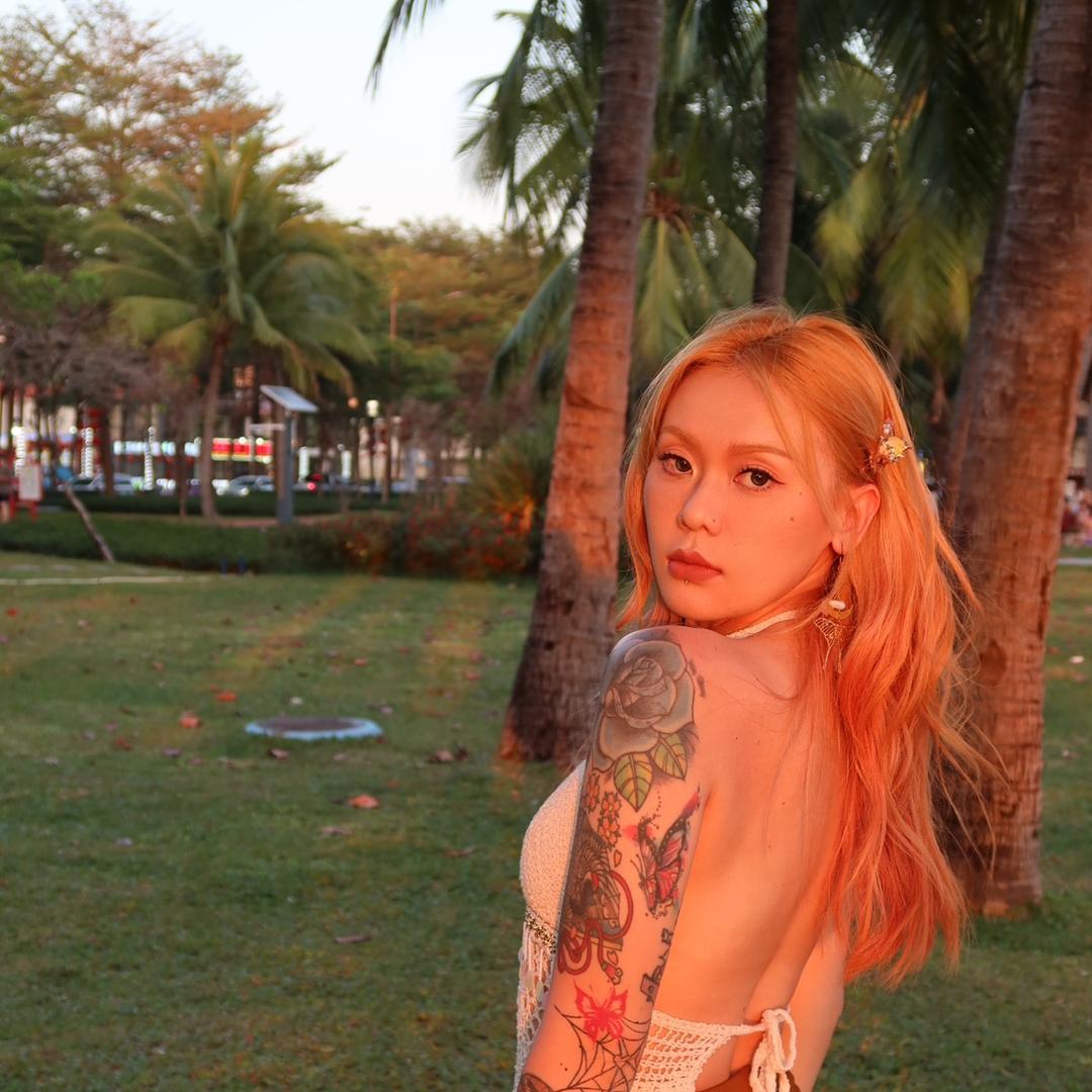 木星冲浪的雪花