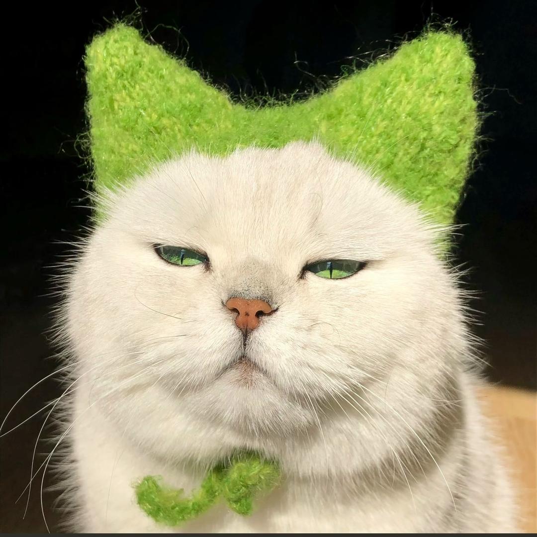 别打扰我研究宇宙