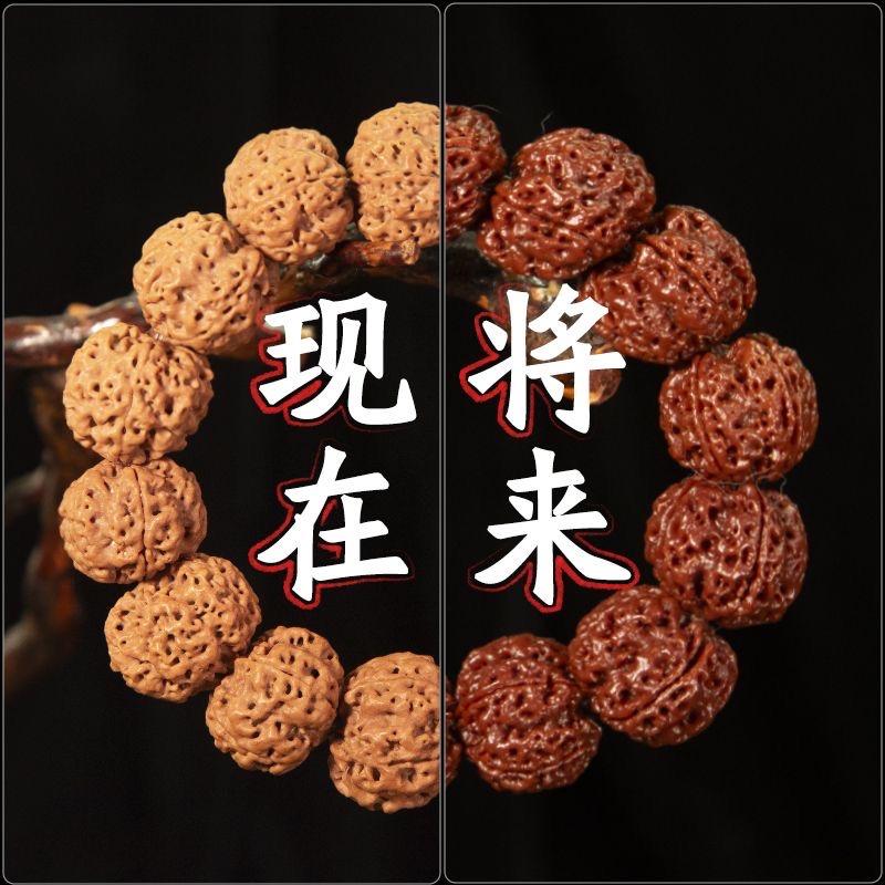 菩提姐姐