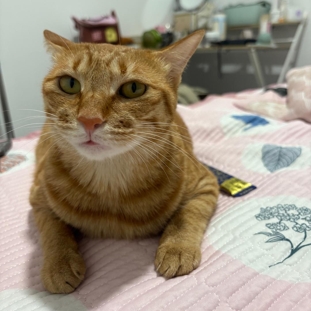 用户9283714505714