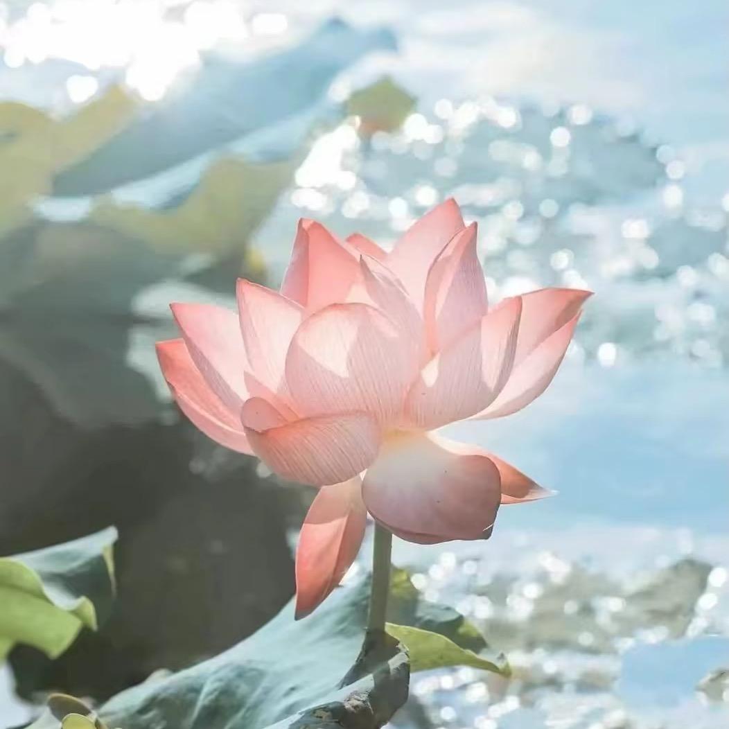 你拿不下的妹